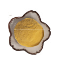 Papaya Powder Papaya Fruit Powder Raw Material